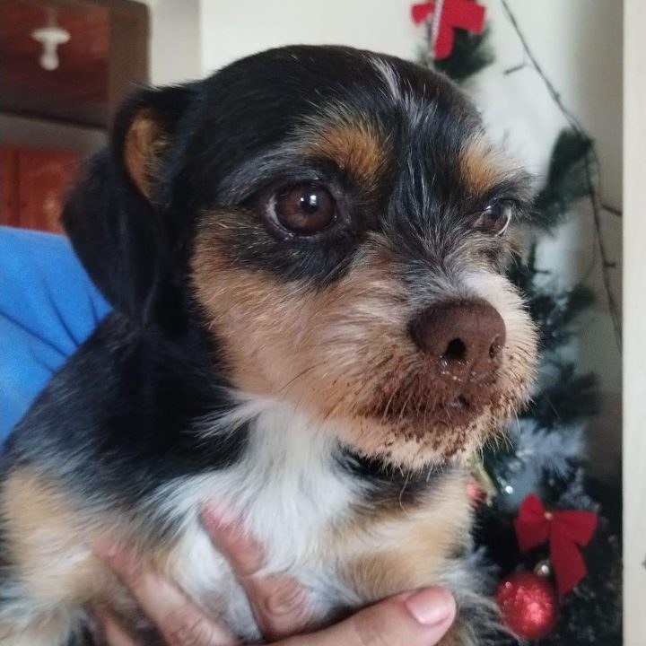 Théo
